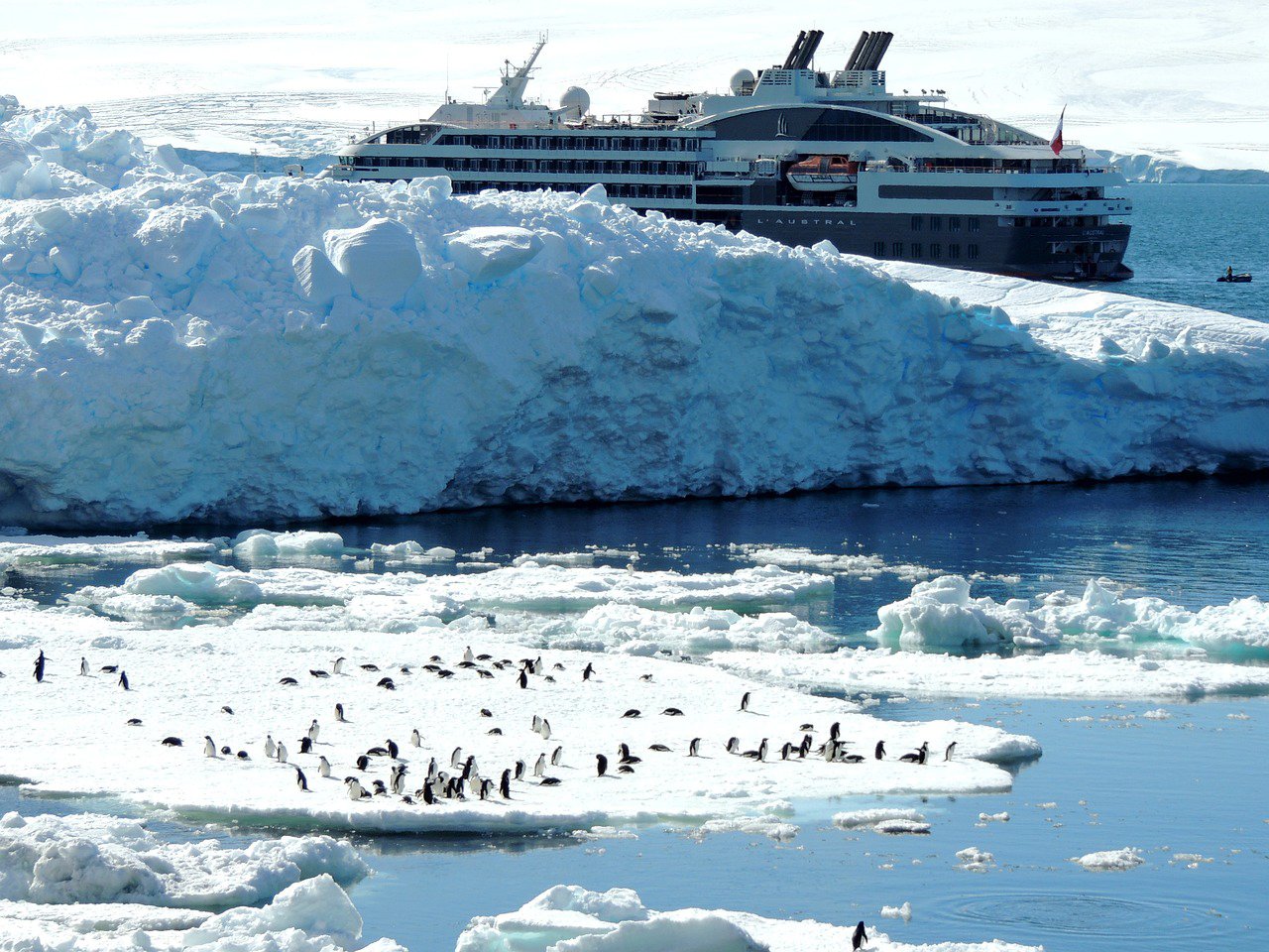 Antarctic Cruises 2024/2025